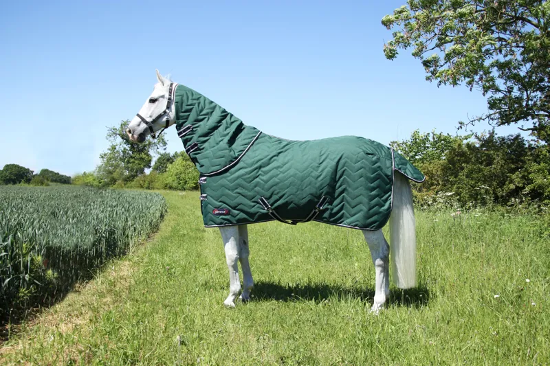 DefenceX Stable Rug 100g with Detachable Neck in Green